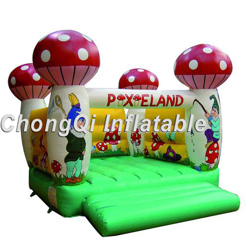 inflatable bouncer